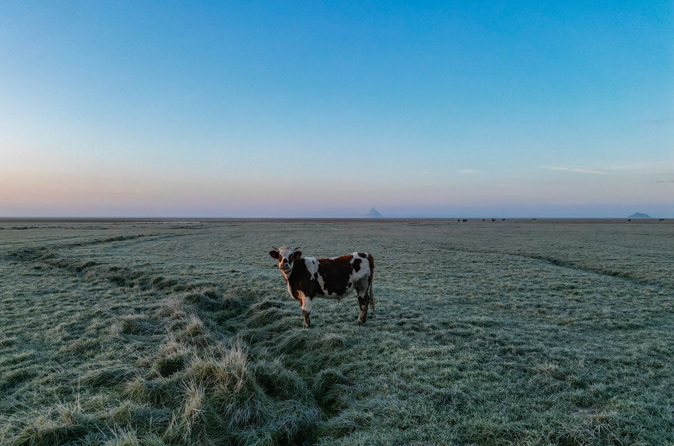 Photo drone paysage